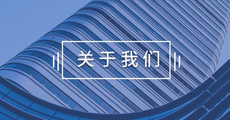 描述